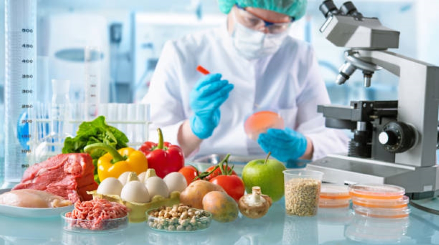 Gıda Mühendisliği Tezli Yüksek Lisans Programı Açıldı. 